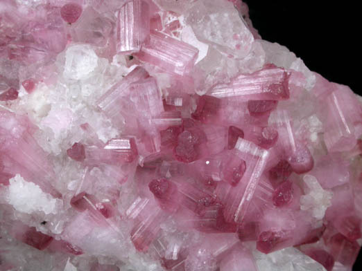 Elbaite var. Rubellite Tourmaline with Quartz from Pyi-Gyi-Taung Mountain, near Let-Pan-Hla, Mandalay, Myanmar (Burma)