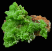 Pyromorphite from Mine des Farges, Ussel, Corrze, France