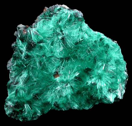 Brochantite from Kambove Mining District, 130 km NW of Lubumbashi, Katanga Copperbelt, Lualaba Province, Democratic Republic of the Congo