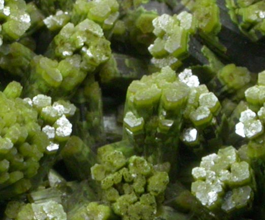 Pyromorphite from Phoenixville, Chester County, Pennsylvania