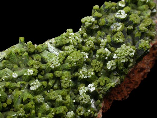 Pyromorphite from Phoenixville, Chester County, Pennsylvania