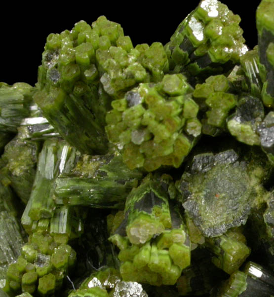 Pyromorphite from Phoenixville, Chester County, Pennsylvania