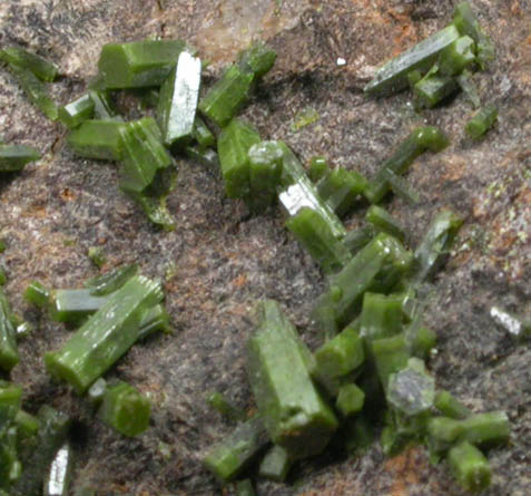 Pyromorphite from Phoenixville, Chester County, Pennsylvania