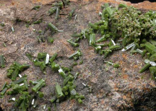 Pyromorphite from Phoenixville, Chester County, Pennsylvania