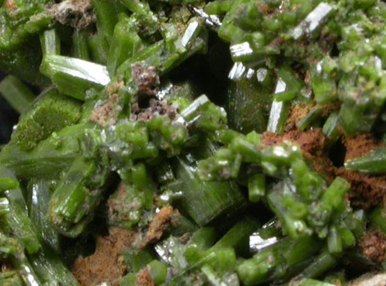 Pyromorphite from Phoenixville, Chester County, Pennsylvania