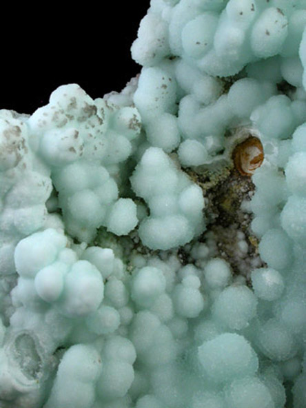 Aragonite var. Cuprian from Lavrion (Laurium) Mining District, Attica Peninsula, Greece