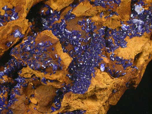 Azurite from Indiana-Arizona Mine, 0.8 km NW of Waterman Peak, Waterman District, Pima County, Arizona