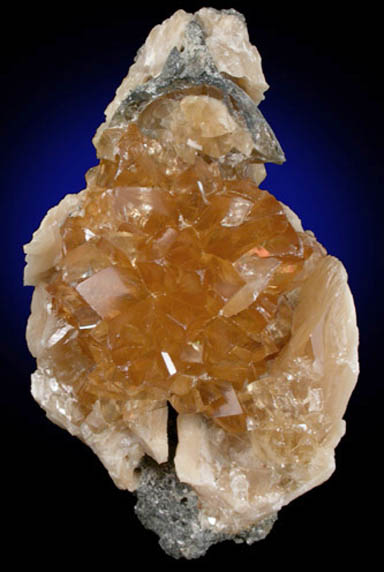 Calcite inside Mercenaria fossilized clam from Ruck's Pit Quarry, Fort Drum, Okeechobee County, Florida