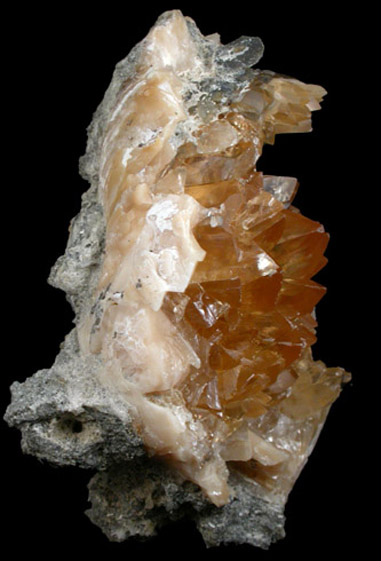 Calcite inside Mercenaria fossilized clam from Ruck's Pit Quarry, Fort Drum, Okeechobee County, Florida