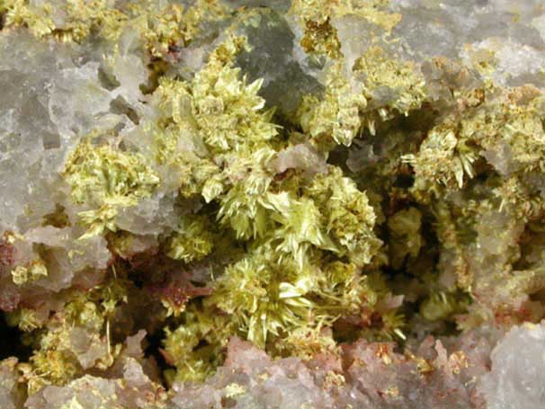 Ferrimolybdite on Quartz from Lemhi County, Idaho