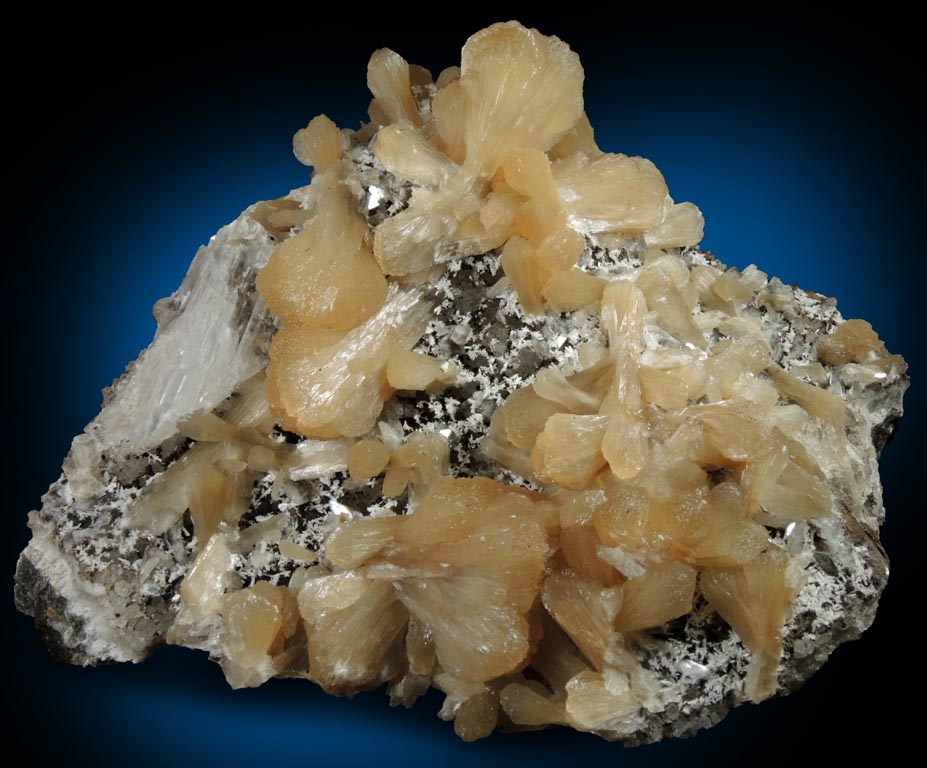 Stilbite, Gypsum, Laumontite, Heulandite, Quartz, Calcite from Prospect Park Quarry, Prospect Park, Passaic County, New Jersey