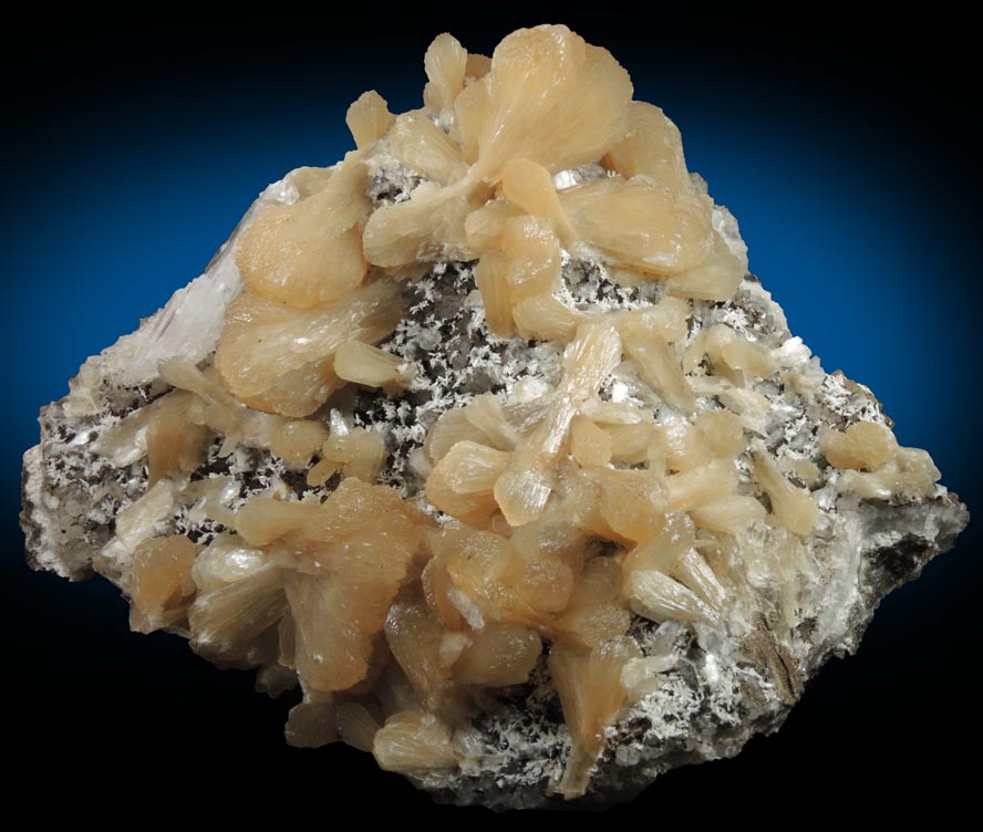 Stilbite, Gypsum, Laumontite, Heulandite, Quartz, Calcite from Prospect Park Quarry, Prospect Park, Passaic County, New Jersey