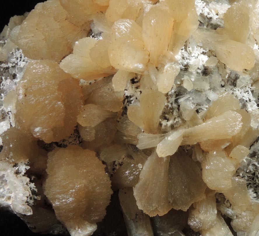 Stilbite, Gypsum, Laumontite, Heulandite, Quartz, Calcite from Prospect Park Quarry, Prospect Park, Passaic County, New Jersey