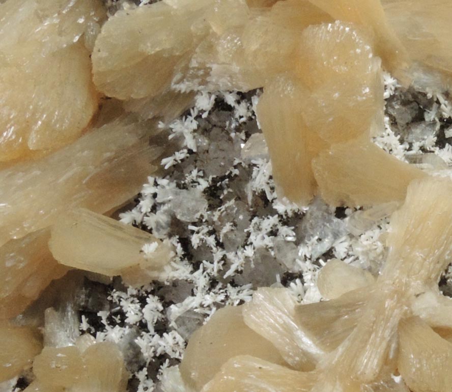 Stilbite, Gypsum, Laumontite, Heulandite, Quartz, Calcite from Prospect Park Quarry, Prospect Park, Passaic County, New Jersey