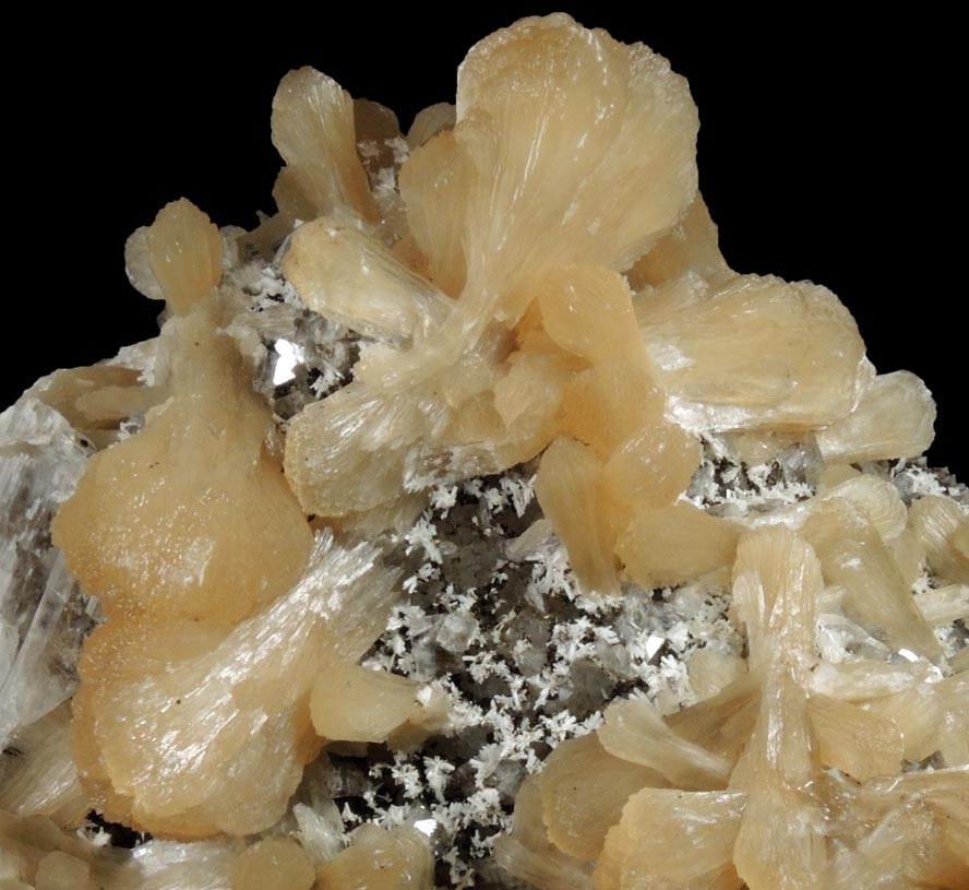 Stilbite, Gypsum, Laumontite, Heulandite, Quartz, Calcite from Prospect Park Quarry, Prospect Park, Passaic County, New Jersey