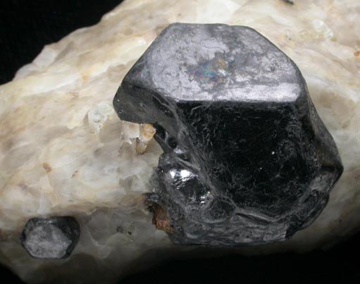 Ilmenite with Phlogopite from Vishnyovye (Vishnovogorsk), Chelyabinsk Oblast', Southern Ural Mountains, Russia