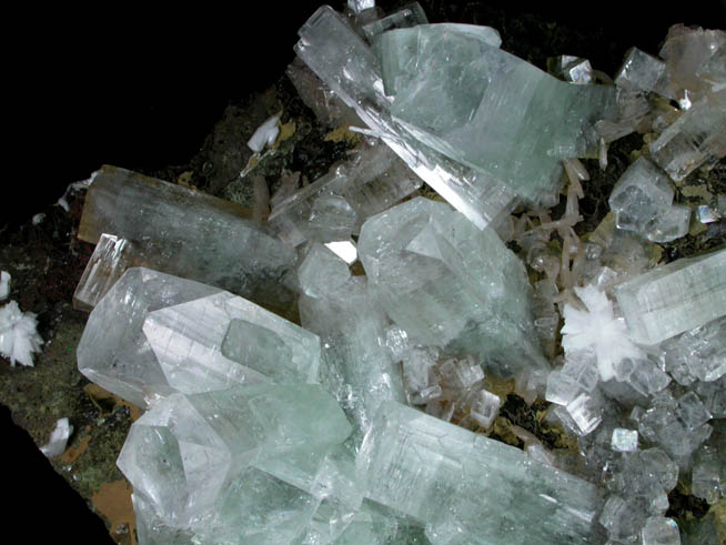 Apophyllite and Scolecite with Stilbite-Ca from Nashik District, Maharashtra, India