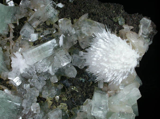 Apophyllite and Scolecite with Stilbite-Ca from Nashik District, Maharashtra, India