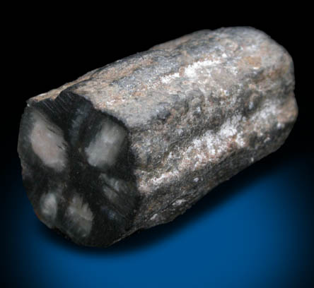 Andalusite var. Chiastolite from Bimbowrie Station, Olary Province, South, Australia