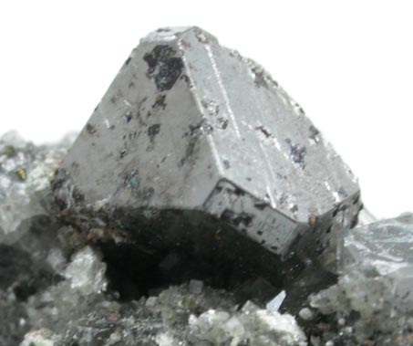 Carrollite with Chalcopyrite on Calcite from Kambove Mining District, 130 km NW of Lubumbashi, Katanga Copperbelt, Lualaba Province, Democratic Republic of the Congo