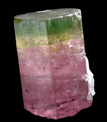 Elbaite Tourmaline from Himalaya Mine, Mesa Grande District, San Diego County, California