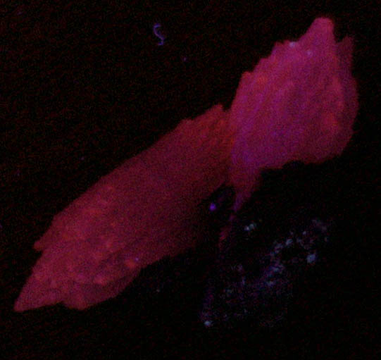 Calcite var. Manganoan Calcite from Magma Mine, Superior District, Pinal County, Arizona