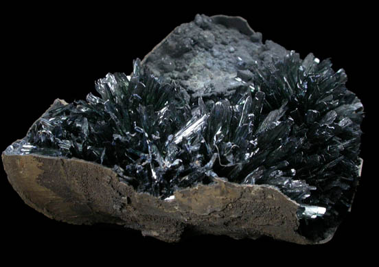 Vivianite on fossilized mollusk from Kerch Peninsula, Crimea Oblast', Ukraine