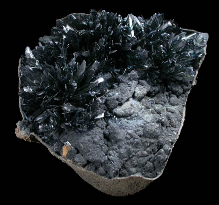 Vivianite on fossilized mollusk from Kerch Peninsula, Crimea Oblast', Ukraine