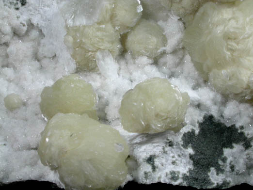 Gyrolite on Quartz with Apophyllite from Mumbai (Bombay) District, Maharashtra, India