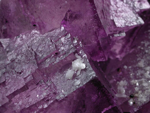 Fluorite and Sphalerite from Denton Mine, Harris Creek District, Hardin County, Illinois