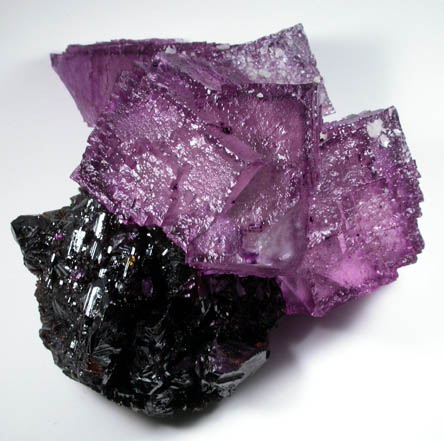 Fluorite and Sphalerite from Denton Mine, Harris Creek District, Hardin County, Illinois