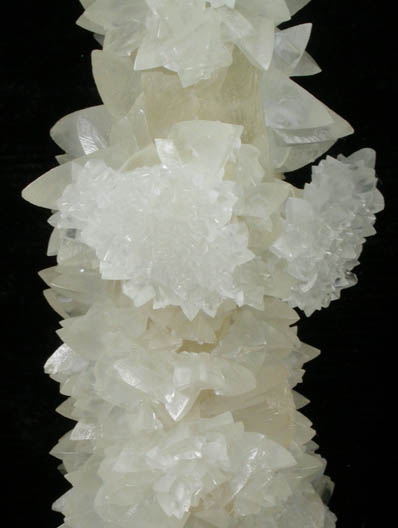 Calcite (hollow stalactitic formation) from Florida Lime Co. Quarry, Brooksville, Hernando County, Florida