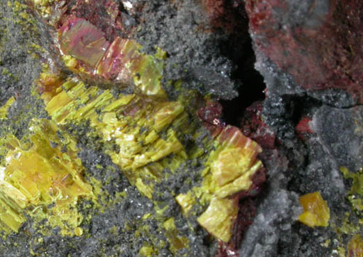Getchellite and Orpiment from Getchell Mine, Humboldt County, Nevada (Type Locality for Getchellite)