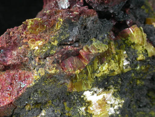 Getchellite and Orpiment from Getchell Mine, Humboldt County, Nevada (Type Locality for Getchellite)