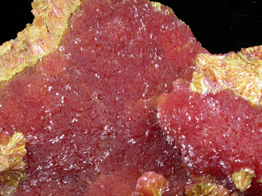 Orpiment from El'brusskiy Mine, 35 km NE of Mount Elbrus, Kabardino-Balkarian Republic, Russia