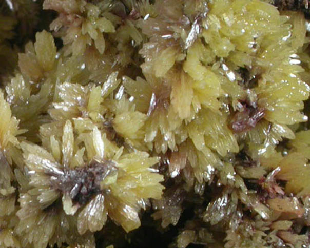 Mimetite from Tsumeb Mine, Otavi-Bergland District, Oshikoto, Namibia