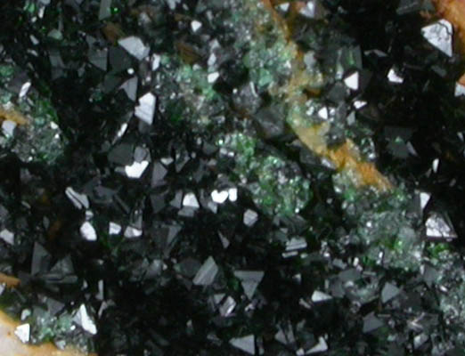 Libethenite from Lubietov (Libethen), Bansk Bystrica, Slovak Republic (Slovakia) (Type Locality for Libethenite)