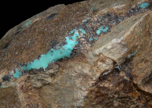 Turquoise from Arizona