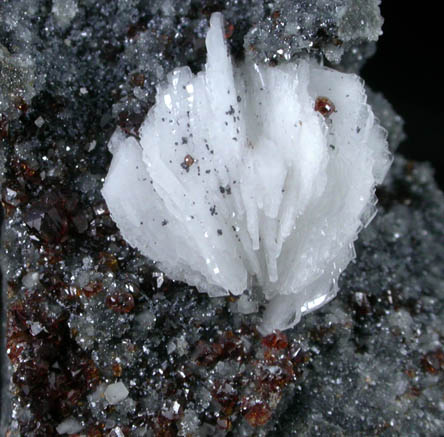 Barite on Quartz and Sphalerite from Florence Mine, Egremont, Cumbria, England