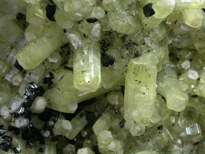 Ettringite with Manganite, Gaudefroyite, Hematite from Wessels Mine, Kalahari Manganese Field, Northern Cape Province, South Africa