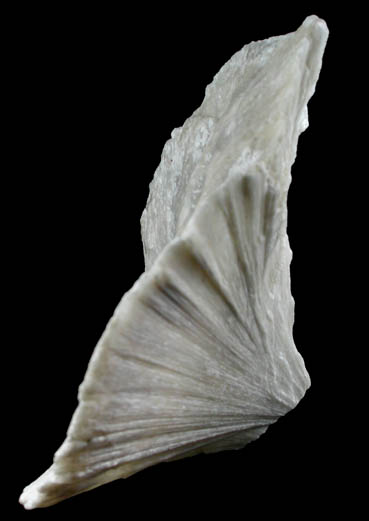 Ulexite (fan-shaped formation) from Kramer District, Boron, Kern County, California