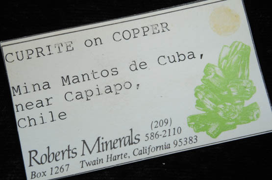 Cuprite on Copper from Mina Mantos de Cuba, Inca de Oro, Chaaral Province, Atacama, Chile