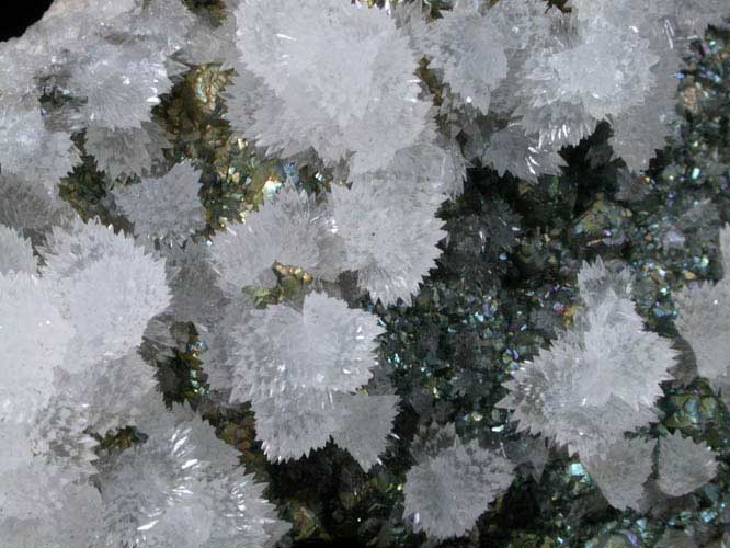 Calcite on Pyrite from Zacatecas, Mexico