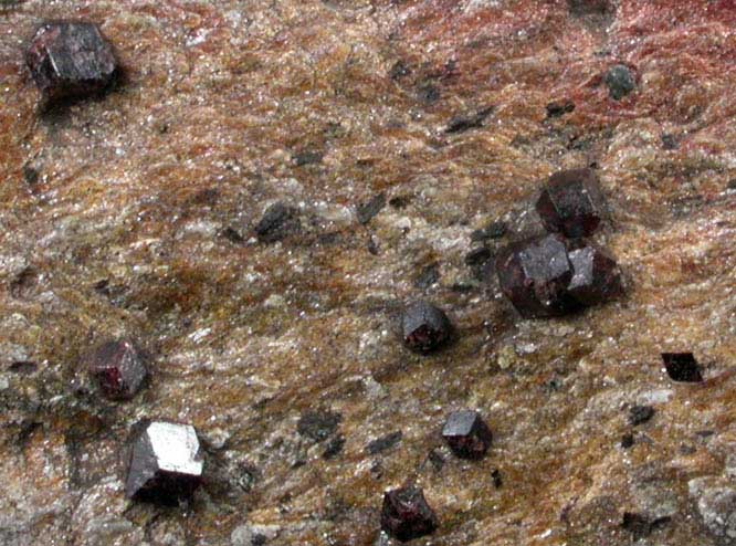 Almandine in schist from Franklin County, North Carolina