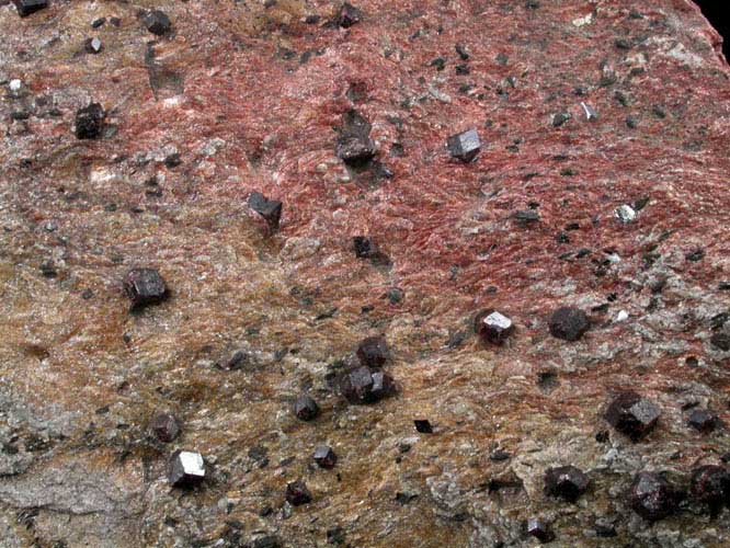 Almandine in schist from Franklin County, North Carolina