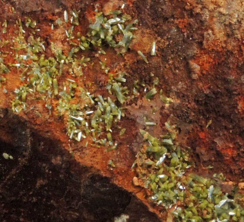 Pyromorphite from Old Chester County Mine, Phoenixville, Chester County, Pennsylvania