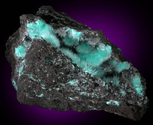 Aurichalcite from 79 Mine, Banner District, near Hayden, Gila County, Arizona