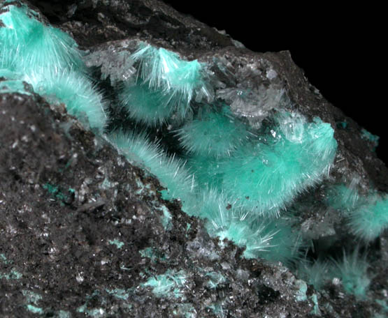 Aurichalcite from 79 Mine, Banner District, near Hayden, Gila County, Arizona