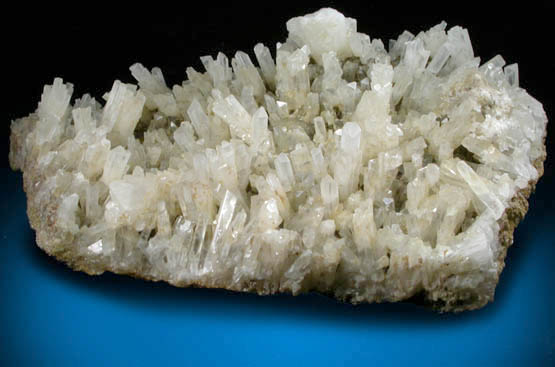 Celestine from Orihuela, Alicante, Valenciana, Spain