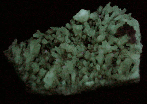 Celestine from Orihuela, Alicante, Valenciana, Spain